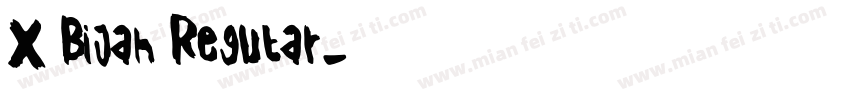 X Bijan Regular字体转换